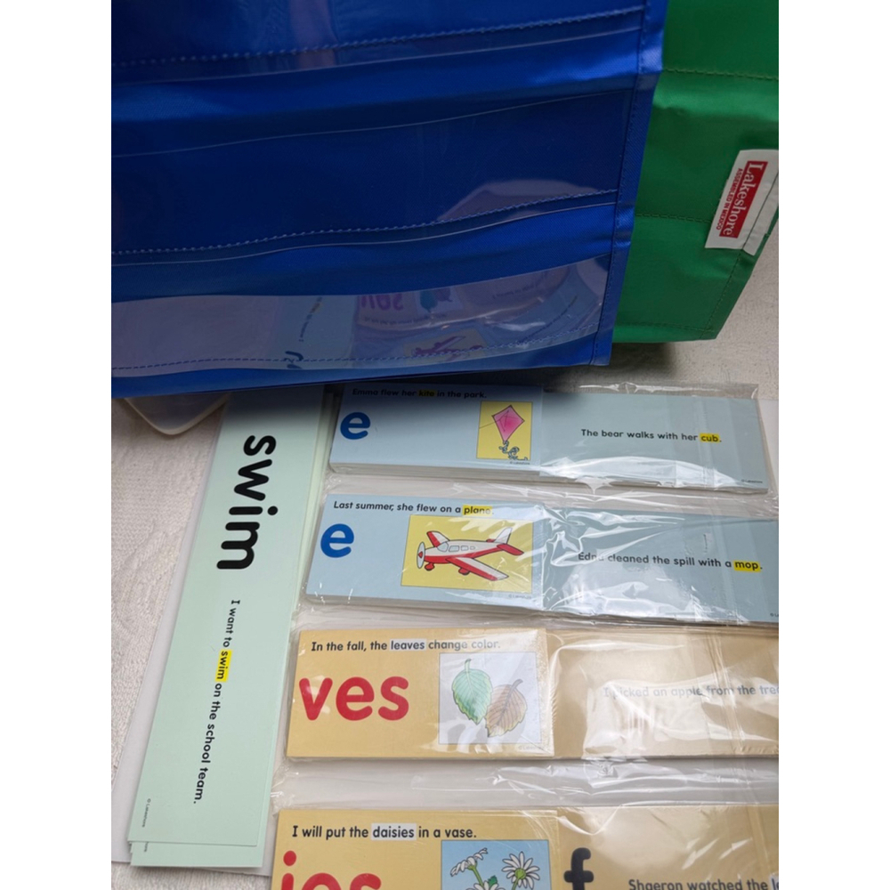 Lakeshore Learning vowel and sight words strips